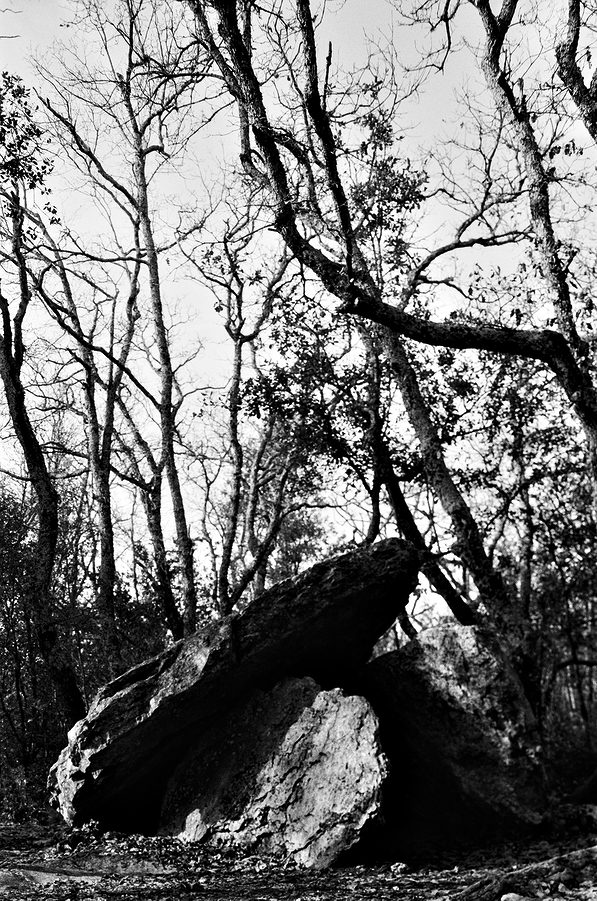 Dolmen des Oeillantes, Barjac, Gard, printemps 2024. #photography #blackandwhitephotography #analogphotography #StandingStoneSunday #Neolithic #megalithic