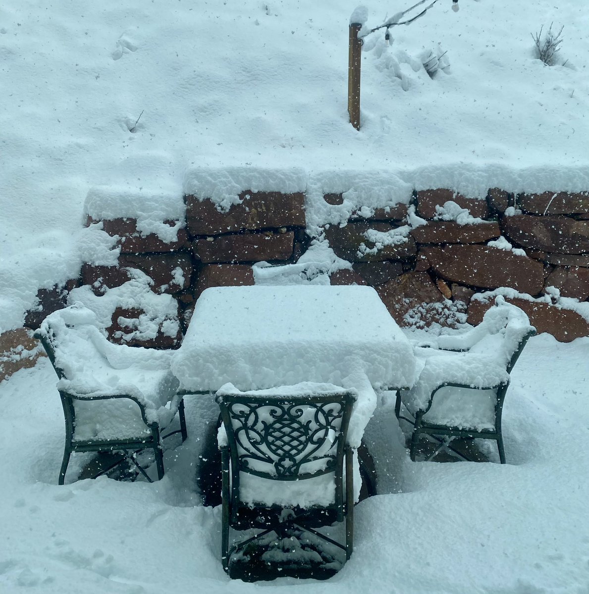 Dear Mother’s Day—I specifically recall ordering sunshine &amp; poppies. Now I’m just praying we don’t lose power…💡❄️⛄️
Hope your #MothersDay includes warm hugs &amp; electricity! ⚡️💛