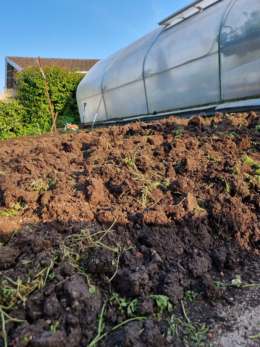 From thunderstorms to blue sky ..... almost there with the Giant Marrow and Long Bean patch. Just @StigaLawnmowers tilling and we'll be ready to plant out the Giants....