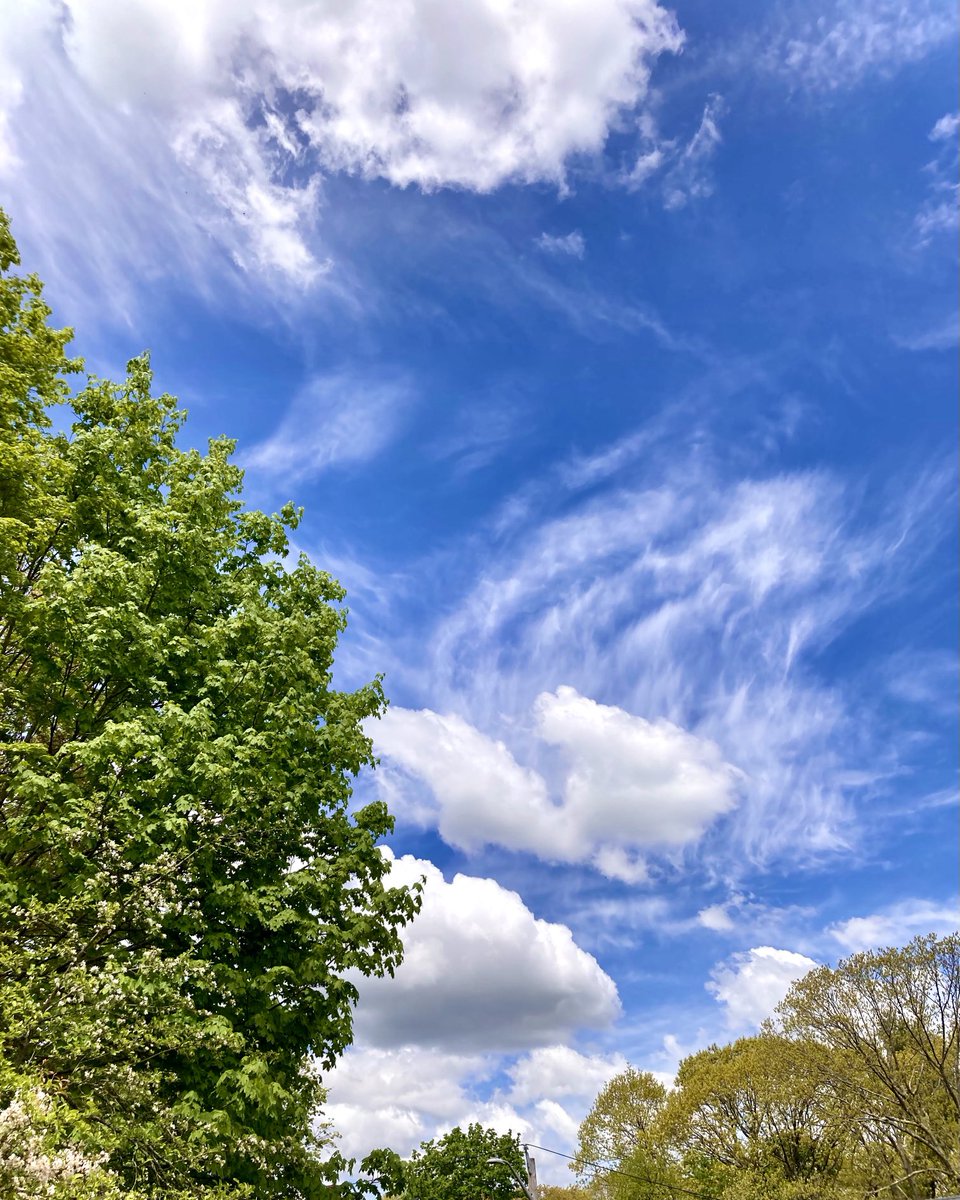 #NaturePhotography
#Naturephotography
#photography #Photography 
#nature #naturelovers
#tree #sky #Sunday
#skyphotography #outside #seasons 
#May #naturesbeauty 
#Spring  #clouds