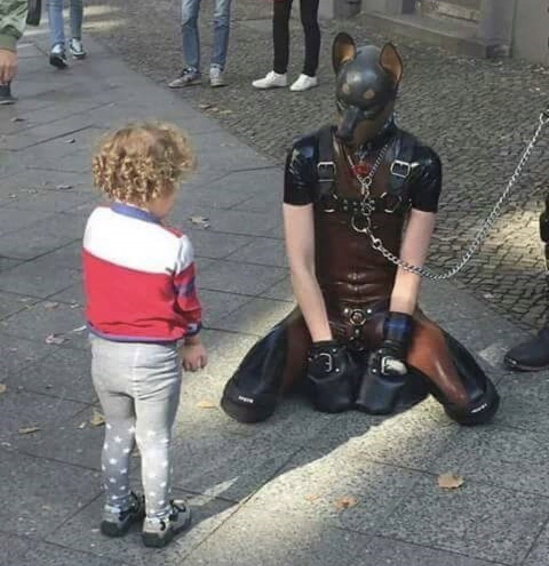 libsoftiktok's tweet image. Caption this