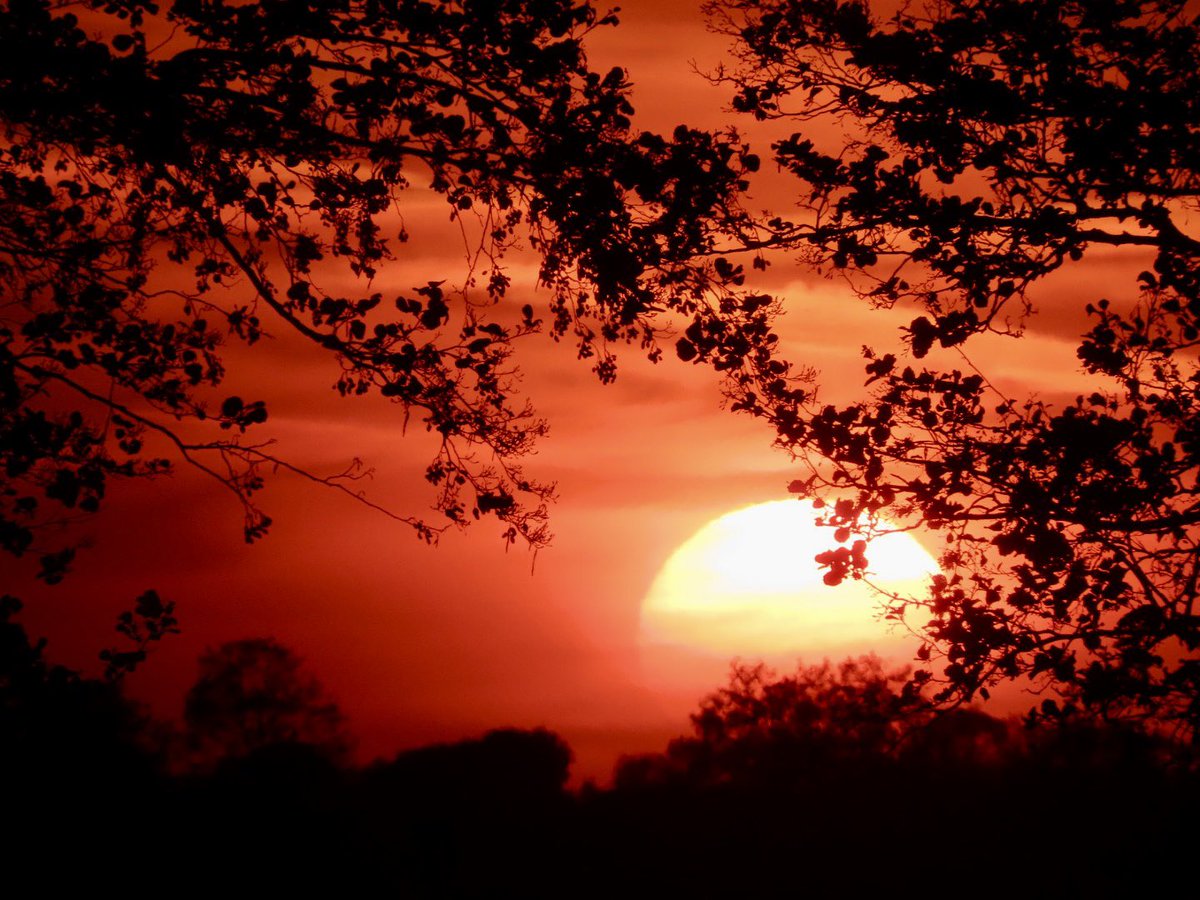 12-5-24 Sunset in Lippenhuizen vanavond om 21:20 uur @sunset @visitfriesland @fotografienl @UwMooisteFoto @OmropFryslan @mooieluchten @mooielucht @friesland @pictureofNL