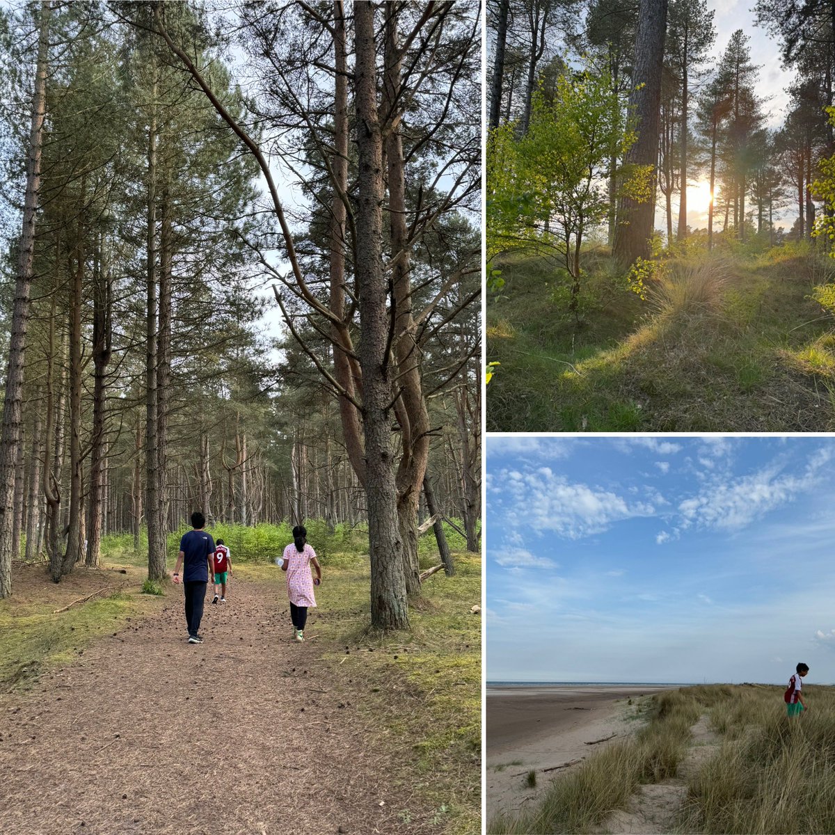 Beautiful #tentsmuir #forest and beach for a family walk and some #forestbathing🌲🌳yesterday. It was such a beautiful day. We are so lucky to have these wonderful spaces near us. 💚 #shinrinyoku #mindfullness #nature @ForestryLS