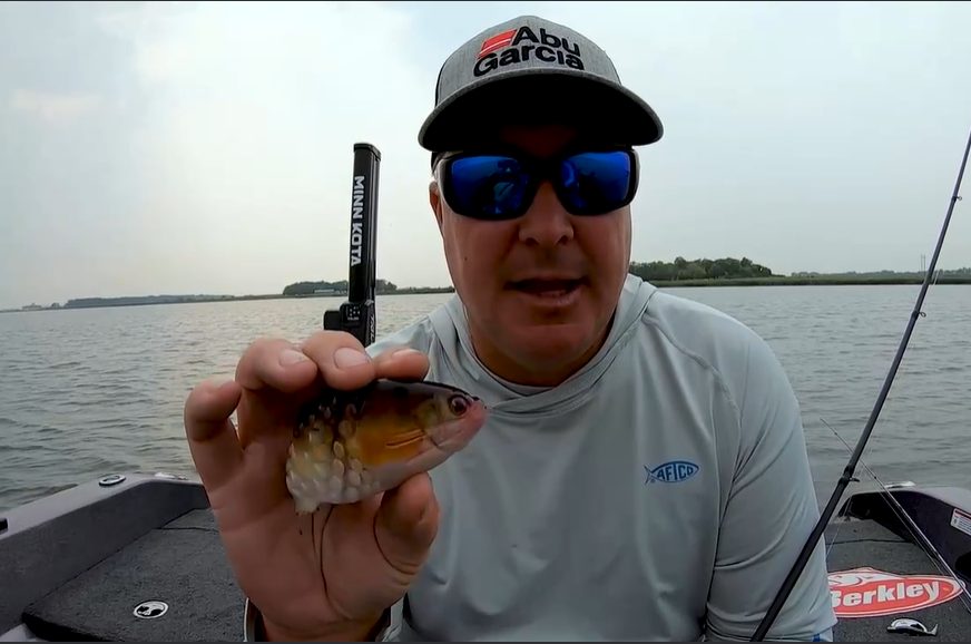 Pro angler Mark Courts demonstrates one of the rigging options with the new Berkley PowerBait Gilly via Game & Fish Magazine: bit.ly/3WvPHb0 #ITSINOURBLOOD #berkley #fishing #fish #bass #bassfishing #basslure