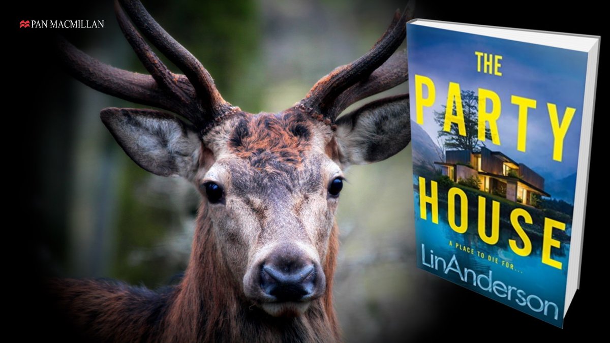 ★★★★★ 'Lin Anderson brought everything together perfectly and I was left wanting more ... I loved The Party House - it really is a page turner of the highest quality! Highly recommended by me!'  viewBook.at/ThePartyHouse #Thriller #ThePartyHouse #PartyHouseBook #LinAnderson