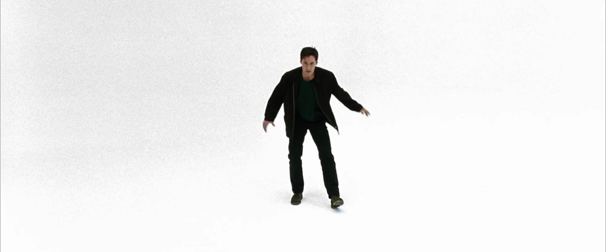 The spider after I pick it up in a tissue