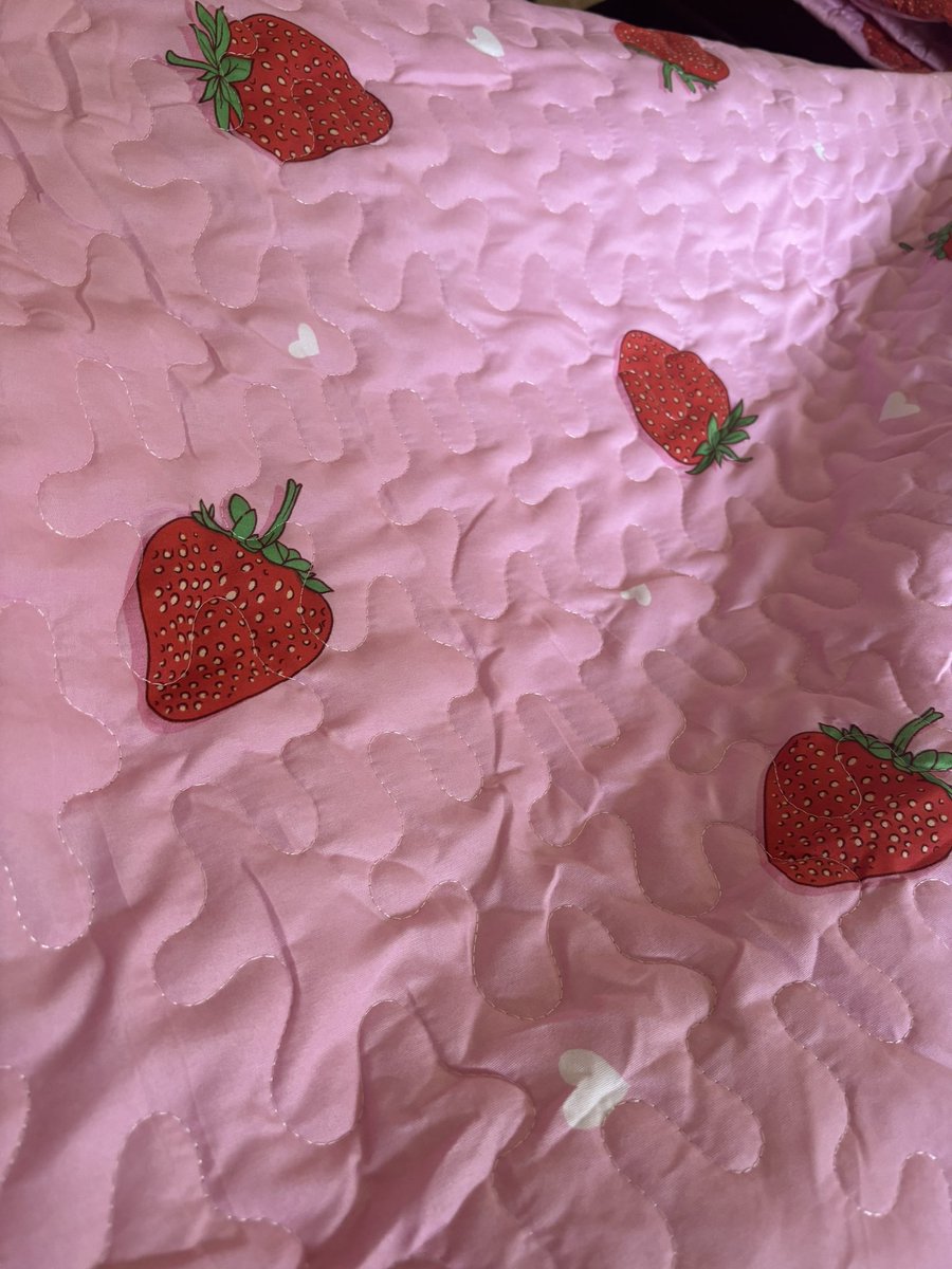 this strawberry quilt is so perfect 🤍🍓