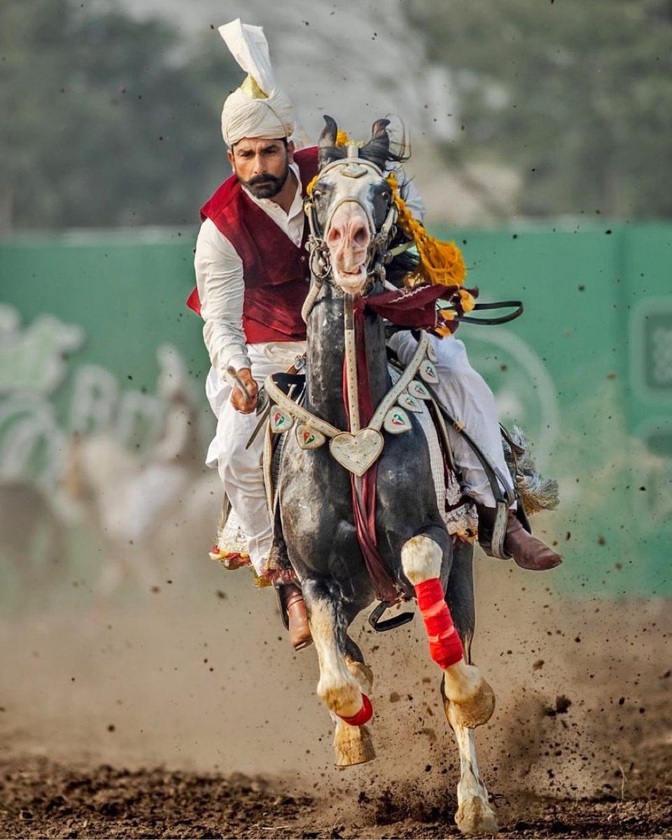 Eyes on the Target. Tent pegging festival, Central Punjab, Pakistan.