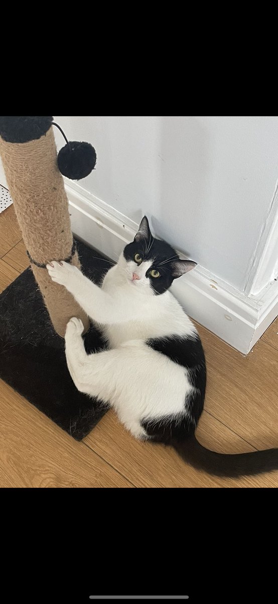 KooYoongi's tweet photo. Vinny has resorted to a life on the pole to pay for his loss 

(But Cassie is v cute and deserving of the win) https://t.co/Hfk9GemXHT