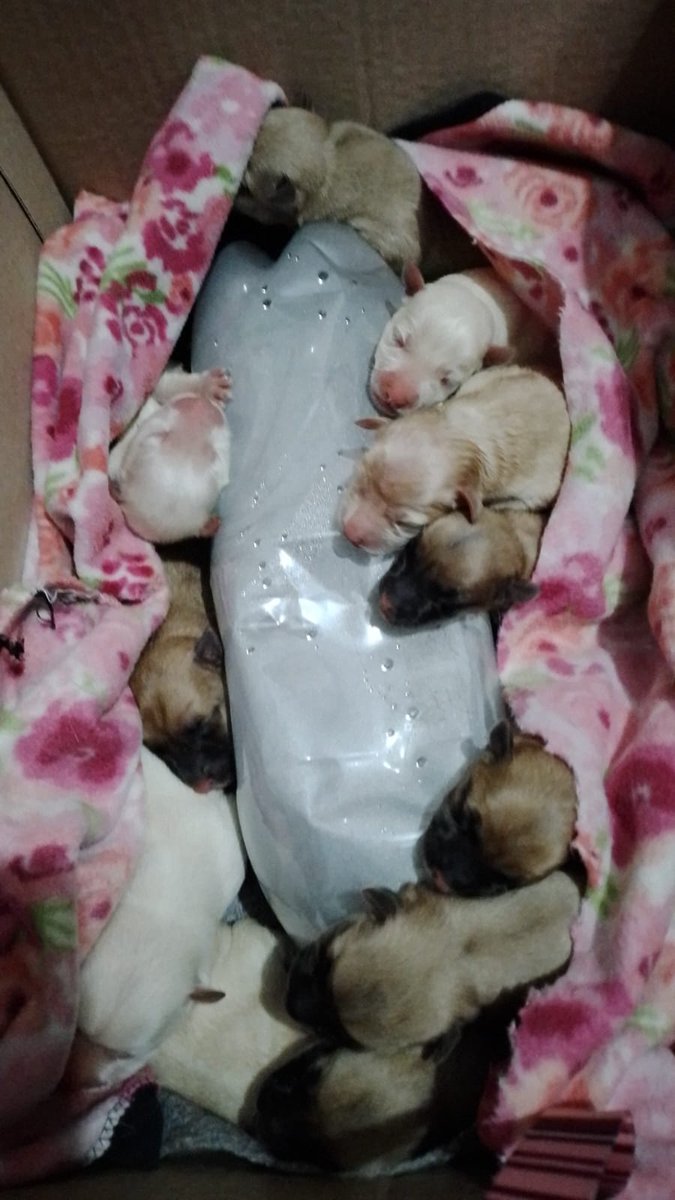 Rt
Urgente!!!
Zona sur