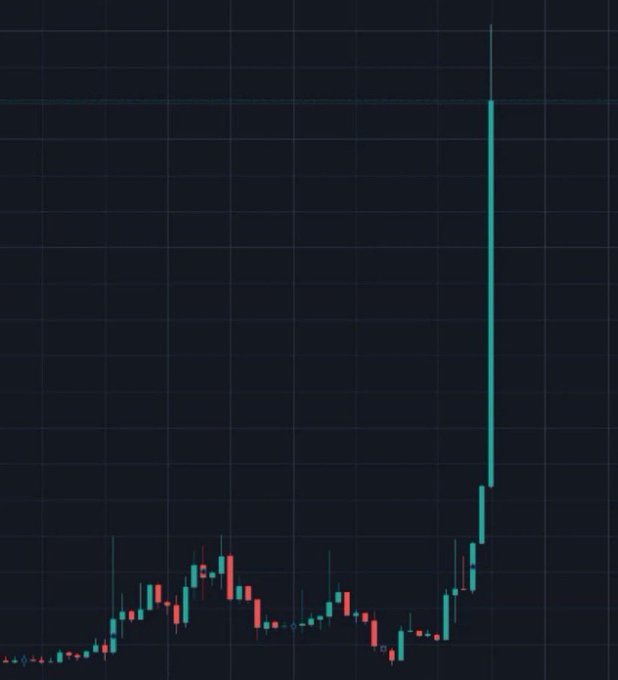 DRAGONINO.SOL🐲 tweet media