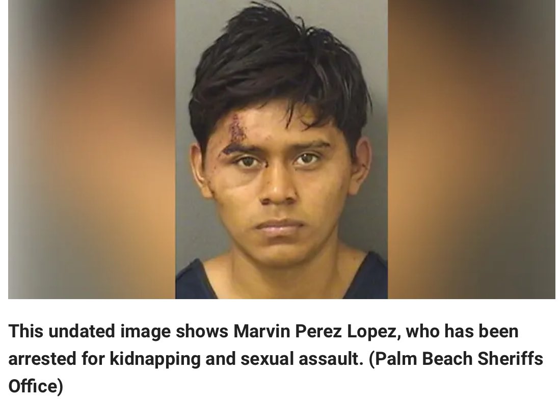 The Palm Beach Sheriff’s Office announced that Marvin Perez Lopez, an illegal immigrant from Guatemala, was arrested on Saturday for kidnapping an 11-year-old girl, throwing her in the back of a van, and raping her. Lopez entered the U.S. through the southern border and applied