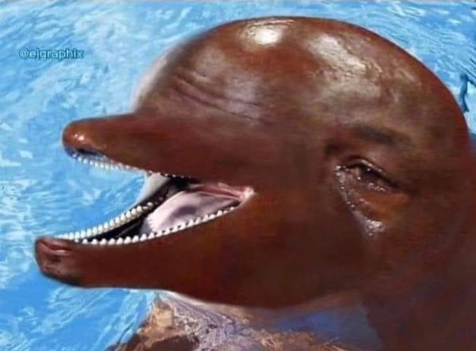 Netflix Remakes Flipper