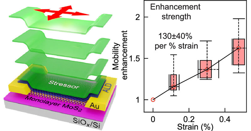Demonstration of a scalable #complementarymetaloxidesemiconductor - compatible method for enhancing the carrier mobility of monolayer n-type molybdenum disulfide FETs with tensile strain. @mechseILLINOIS @UofIllinois Read the full text here 👉 go.acs.org/9jl