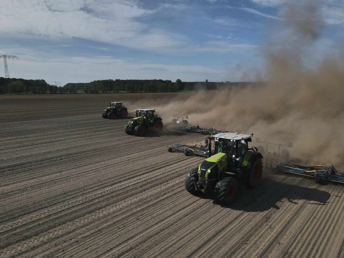 profiMagazin's tweet photo. Mais Blindstriegeln in Golzow bei Brandenburg an der Havel mit drei #Claas Axion 810 und jeweils einen 18m #Treffler Striegel. https://t.co/0a8FixELeh