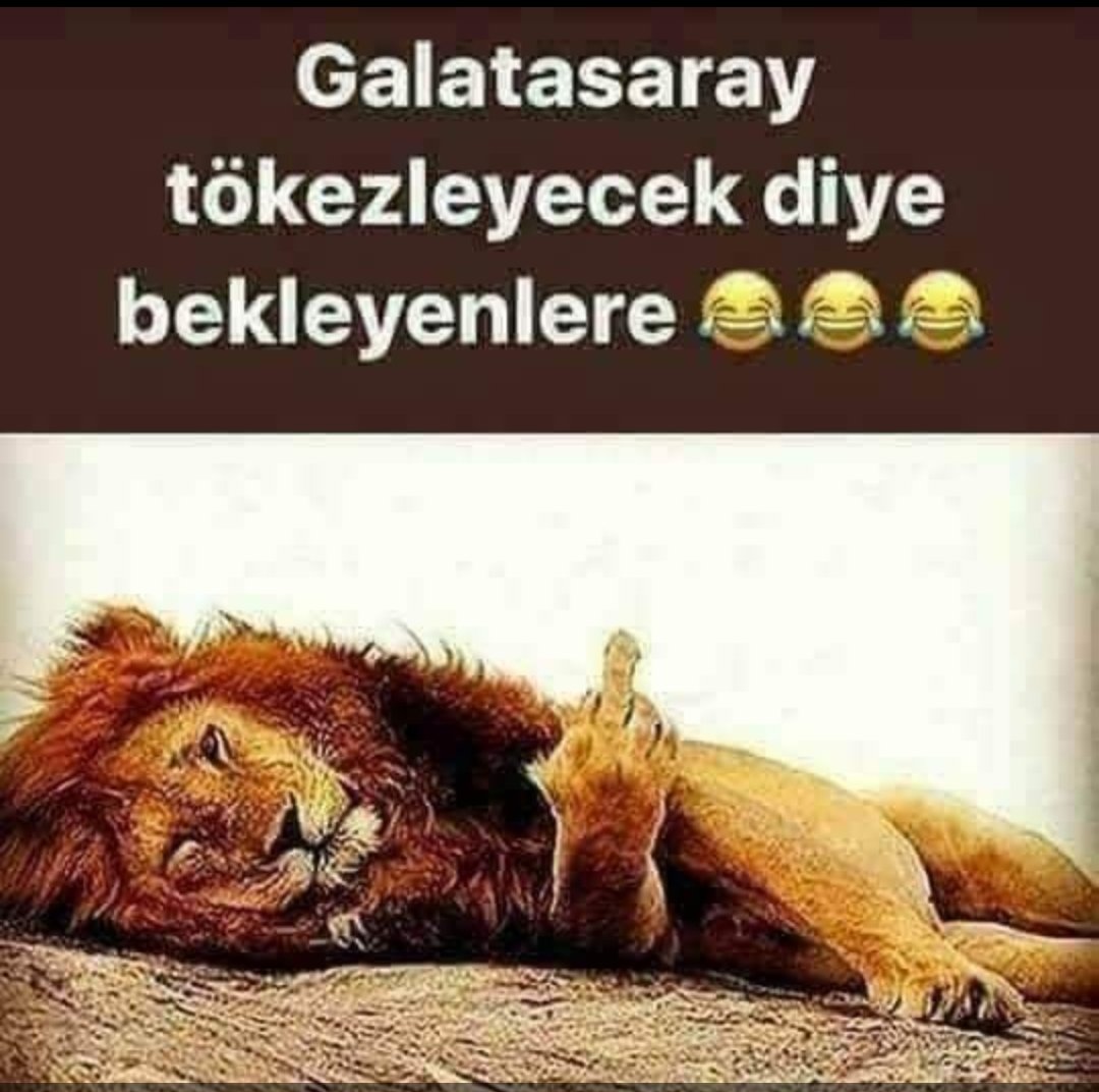 Tebrikler Galatasaray ✊✊#StajÇıraklıkDavasıAnnelerimizleGüzel