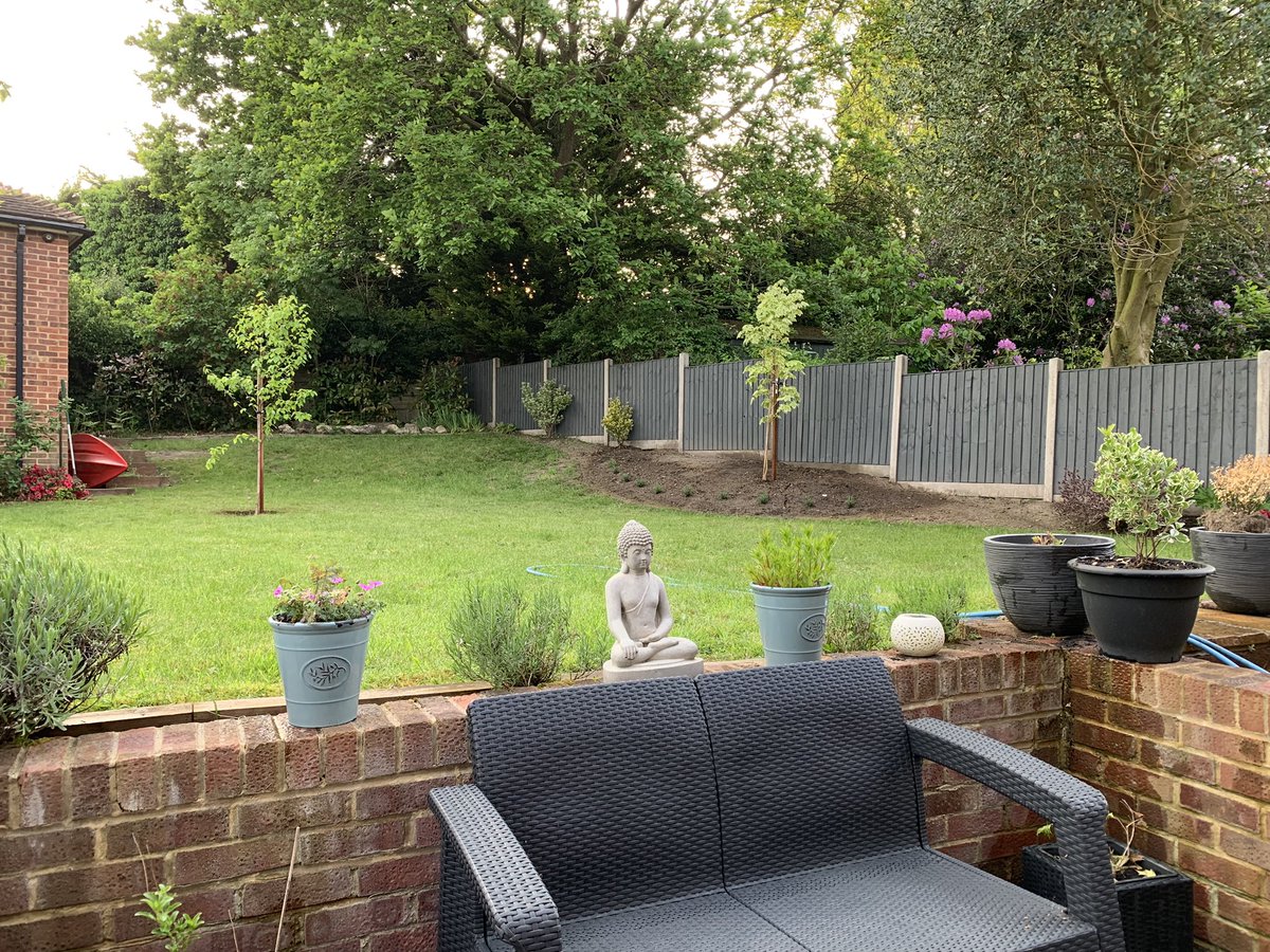 Me and my Hubby have been busy in the garden planting our new 3 trees 🌳 Hope you have all enjoyed a wonderful weekend in this glorious weather. #GardeningTwitter