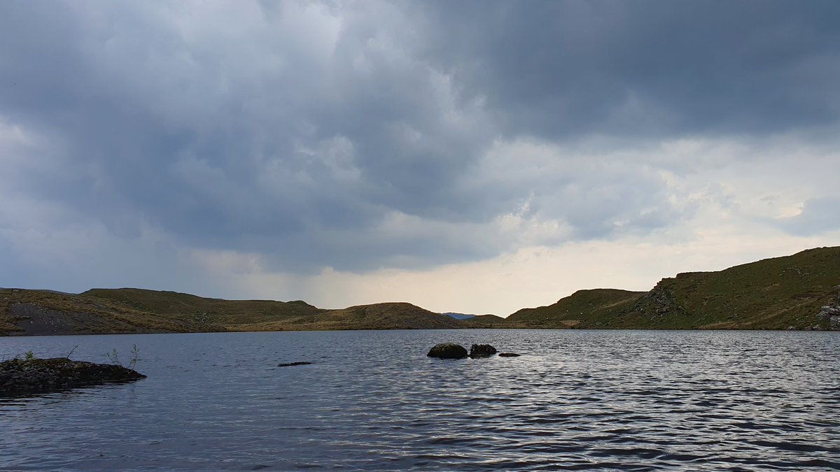 GayleMarsh14's tweet image. First visit of the year to Teifi Pools. New Snowbee flybox arrived in the week and the fish approved. 😉 
#Snowbee