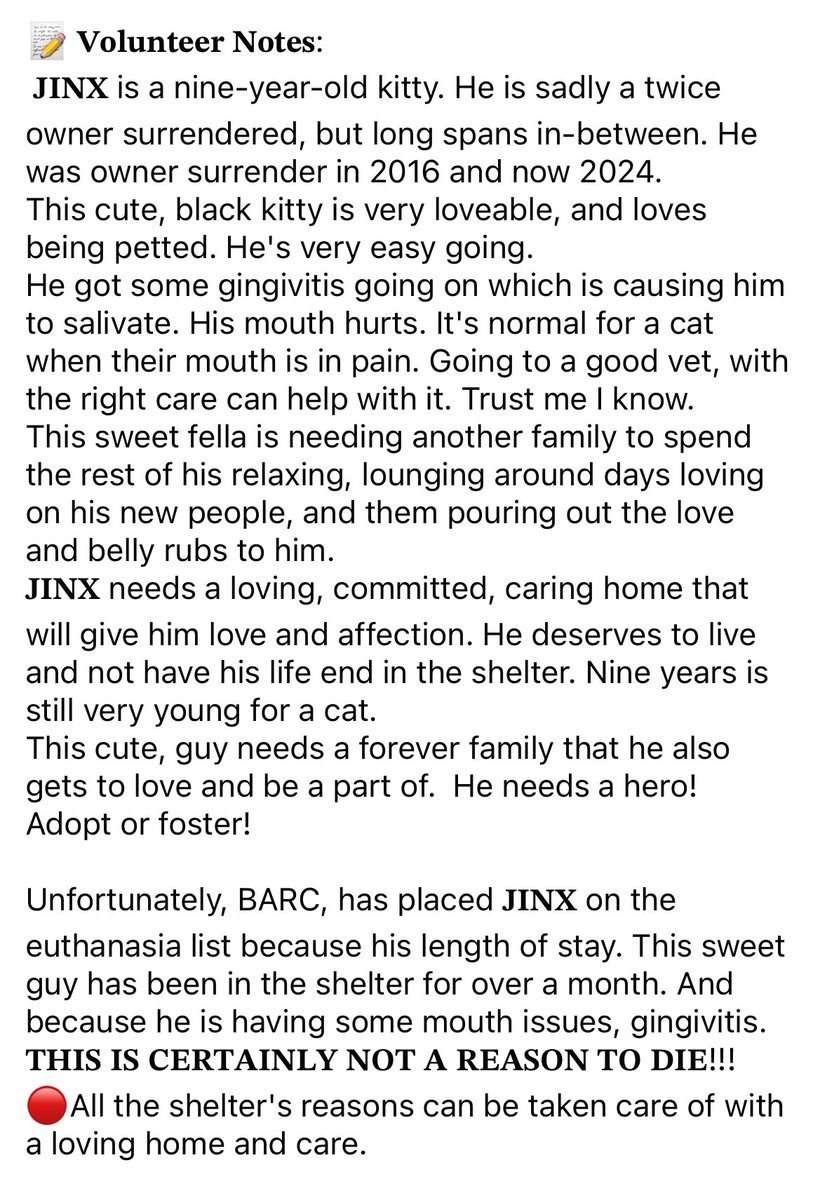 feederofcats's tweet image. HOUSTON, TX 🚨 
Jinx is a 9 y/o cat who will be euthanized tomorrow by no fault of his own. He has been at the shelter for a while and isn't eating because of his bad mouth.

If someone is willing to take him in, Friends of Bear will sponsor his initial vet work up + dental