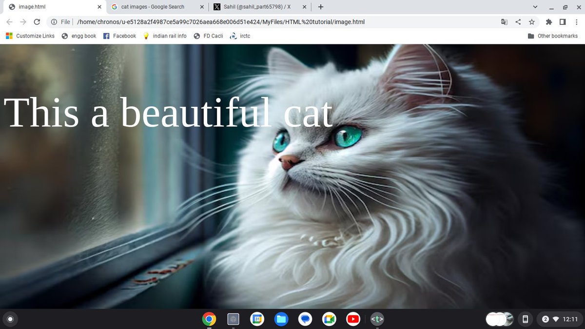 sahil_part65798's tweet image. Day-32 #htmltutorial
Today i learned,
html background image ,
To add a background image i use style in html. 
#HTML  #LearnInPublic #webdeveloper #programming