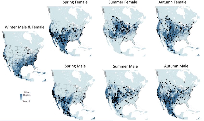 Inquiring minds would like to know when World Migratory Bat Day is?