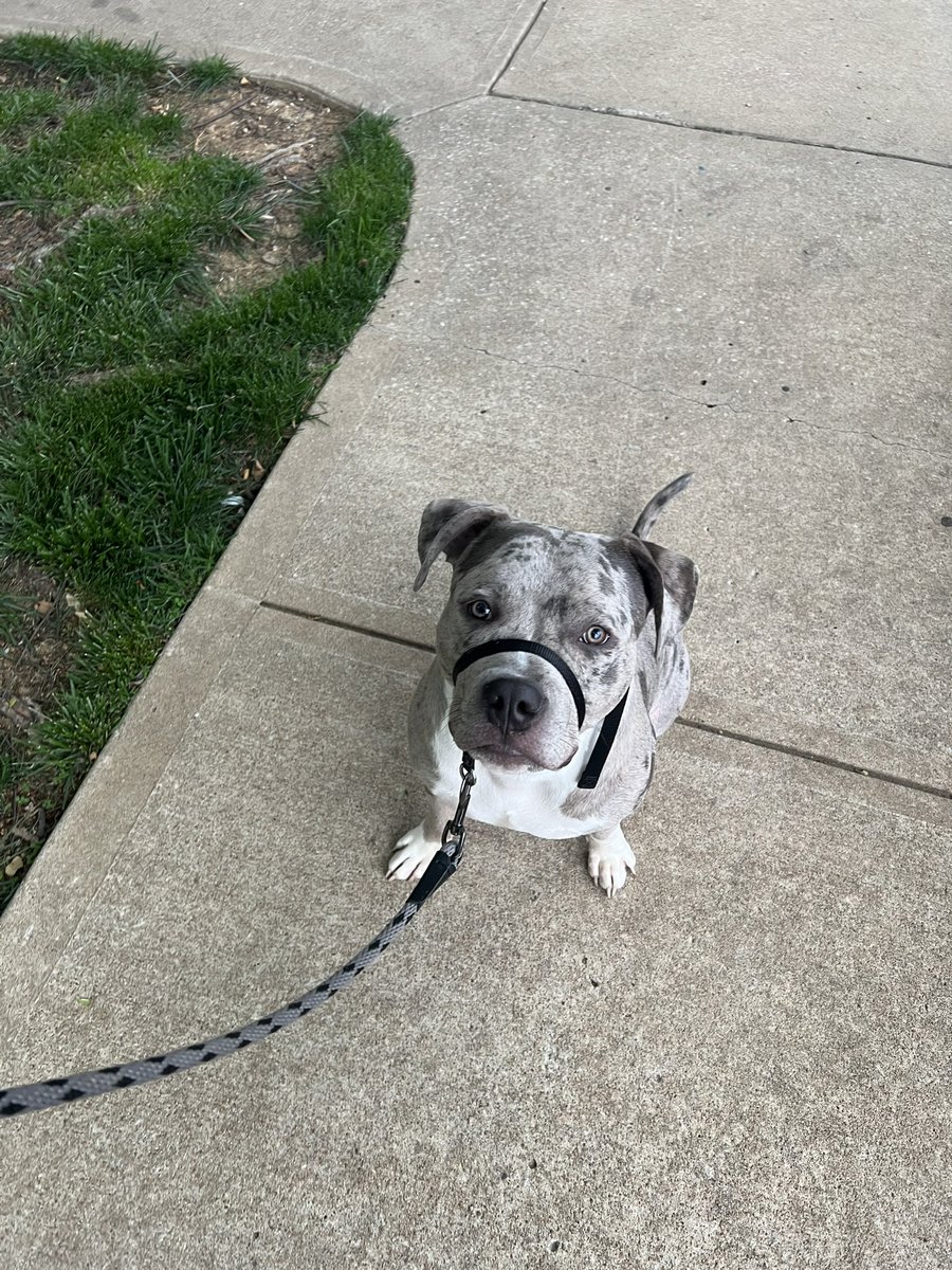 Leaf ∞🦍🍀 tweet media