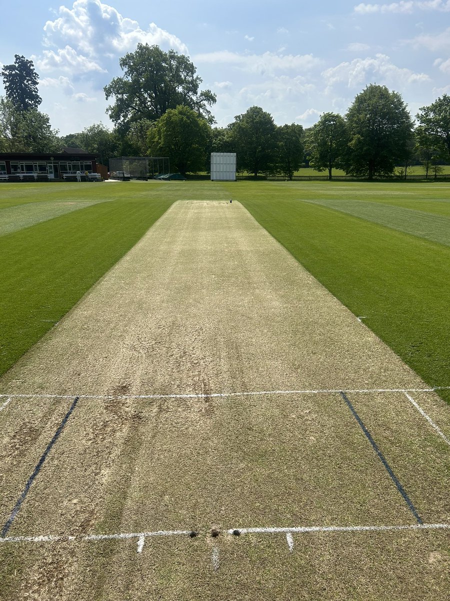 Very happy with how the ground is looking