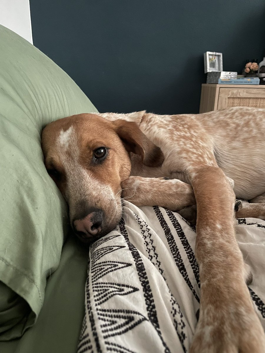 can’t believe i get to wake up next to this face every day