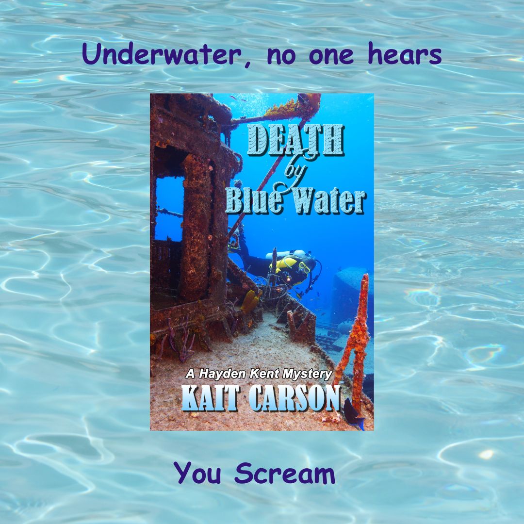 Start your summer vacation early with a tropical thriller set in the Florida Keys. #deathbybluewater #floridakeys #floridathriller #murdermystery mybook.to/5OBA8Bu