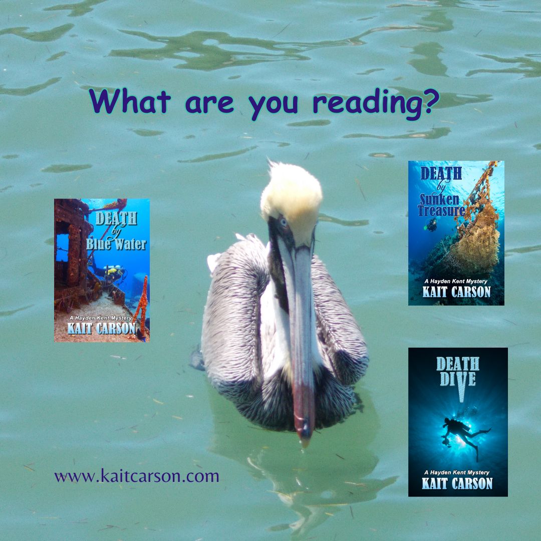 What's on your reading list? Inquiring pelicans want to know. #summerreading #tropicalthrillers #floridakeysthrillers #floridakeysthrillers mybook.to/HaydenKentSeri…