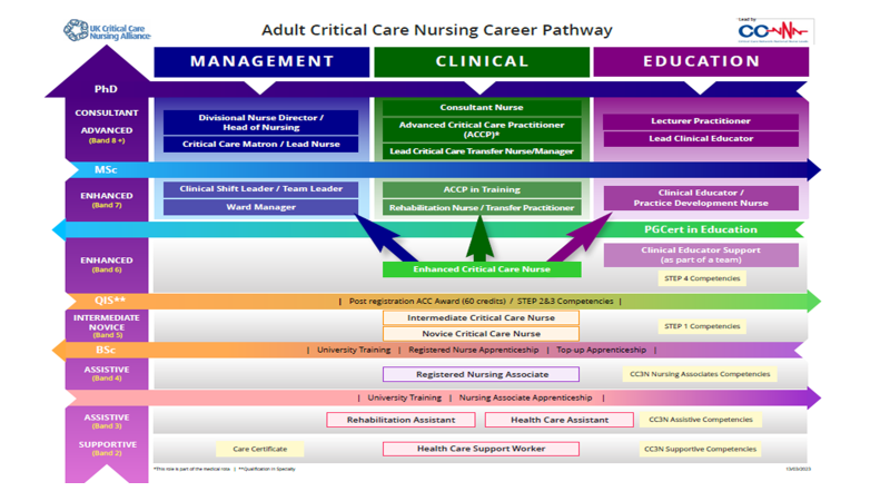 As part of our workforce plan and in collaboration with @CC3N we have developed the Adult Critical Care Nursing Career pathway ficm.ac.uk/sites/ficm/fil… @BACCNUK @theRCN @ICS_updates @CC_3N @PICSociety @NOrF_CCO_RRS @RCNccfn
