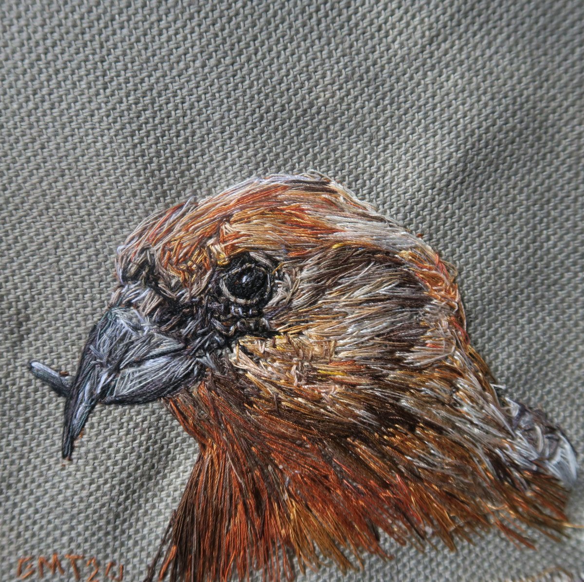Crossbill
original miniature bird thread painting artwork, created with hand stitching. Set in a black frame.
emilytull.co.uk/store/p161/cro…
#EarlyBiz #MHHSBD