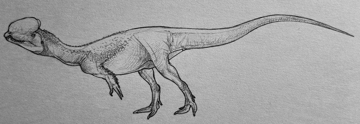 Dilophosaurus for @Mx_Gaponovi

#paleoart #dinosaurs #dilophosaurus