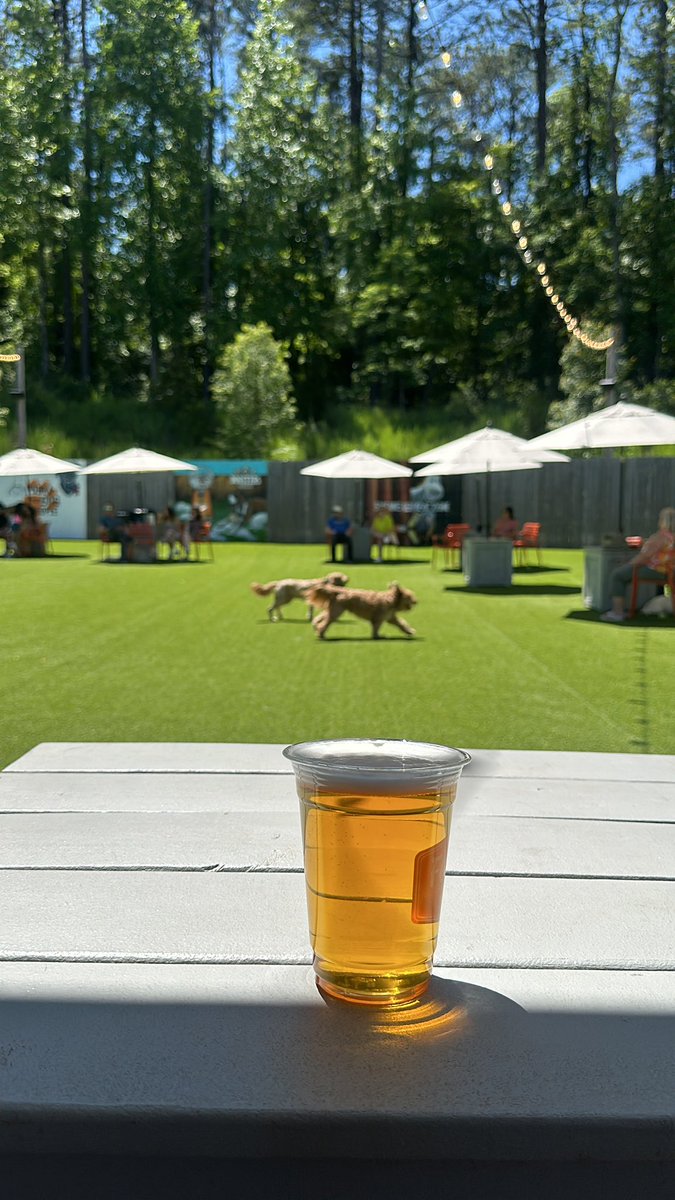 Beers and doggos