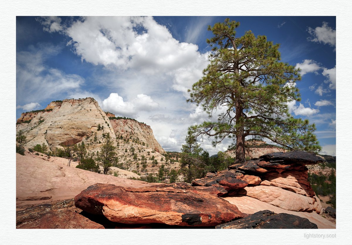 Zion National Park, Utah #landscape #landscapephotography #Nikon @UKNikon