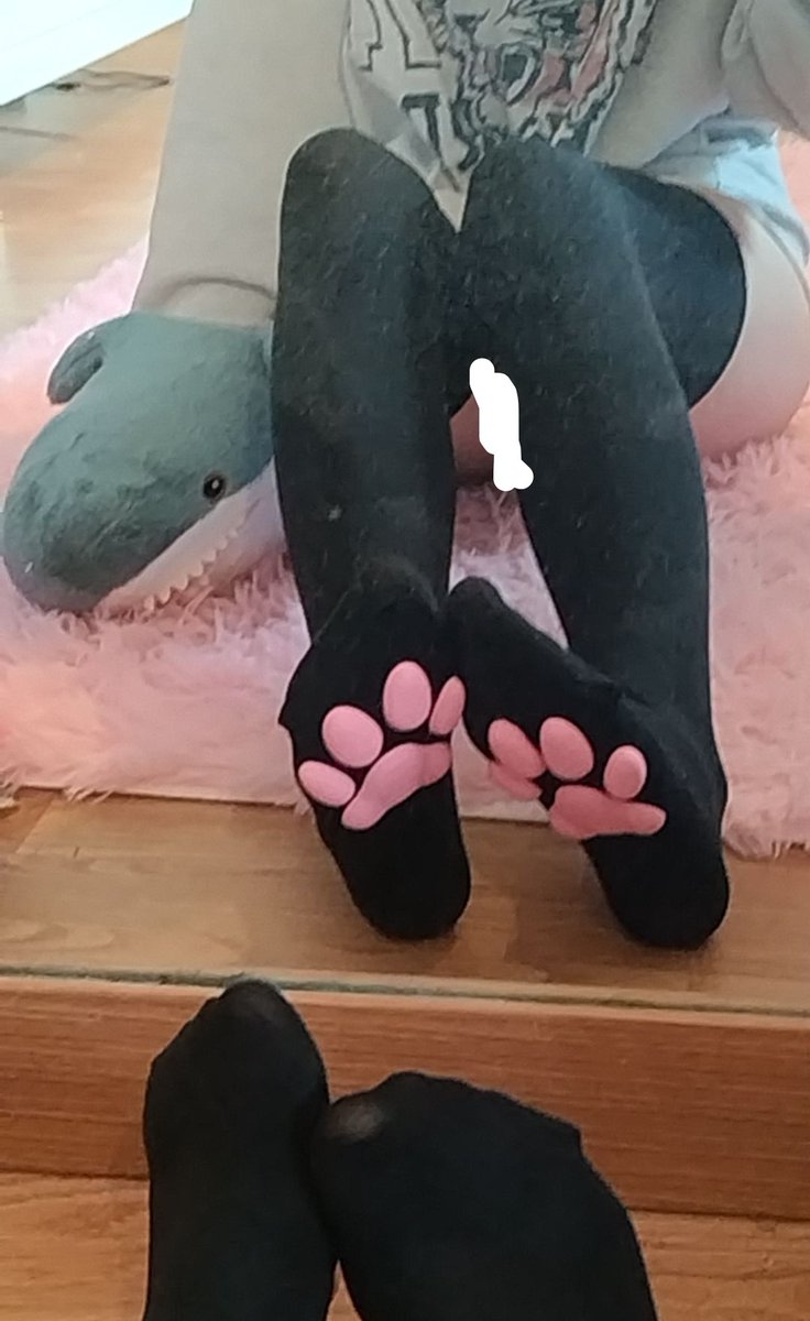 Do we fw these paws,,