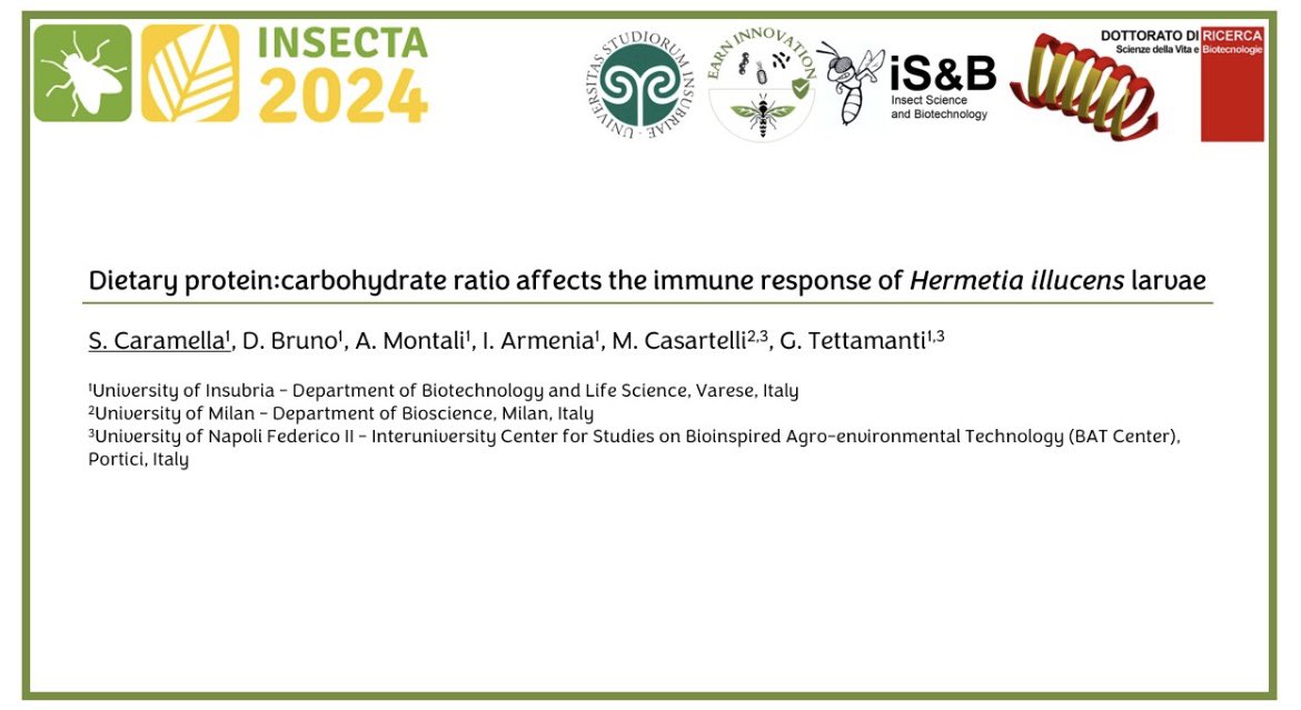 Excited to attend the conference #INSECTA @INSECTA2024 in #Potsdam 🤩 #hermetiaillucens #insectimmunity @Uni_Insubria