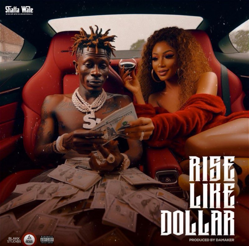 🚨NEW: @shattawalegh 

🎶TUNE: Rise Like Dollar 

🎧LISTEN: songwhip.com/shattawale/ris…