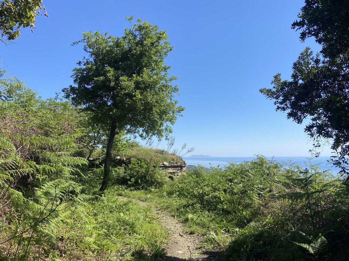 PetruGherardi's tweet image. I chjassi sò puliti è v’aspettanu, avà tocc’à voi! 🫵🏻 
Trail di Furiani « Trà i dui mari », u 19 di maghju. 🏃🏻‍♂️

Scrivite vi!
sportsnconnect.com/events/parcour…