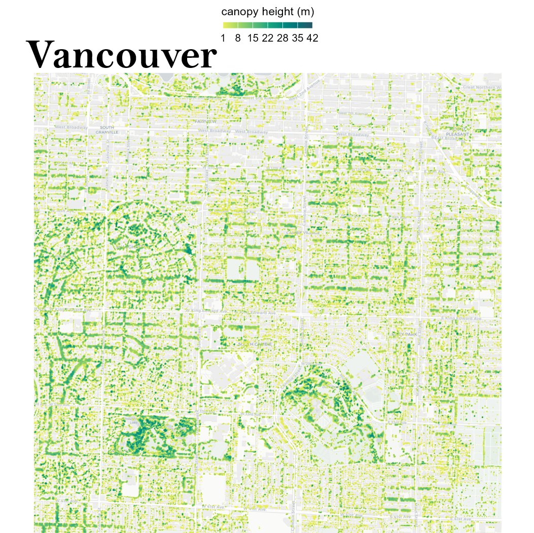 Sofia Lazar (@lazarsofia1) on Twitter photo 🗣️Mapped the urban #canopy 🌳of 5 cities leading the way in #urbantreeequity! Using high-res data, it's inspiring to see how #Portland 🇺🇸, #Vancouver 🇨🇦,#Seattle 🇺🇸, #Melbourne 🇦🇺,#Berlin 🇩🇪 are prioritizing green spaces for all residents. Thanks to <a href="/milos_agathon/">Milos Popovic</a> #DataScience #R 🗣️Mapped the urban #canopy 🌳of 5 cities leading the way in #urbantreeequity! Using high-res data, it's inspiring to see how #Portland 🇺🇸, #Vancouver 🇨🇦,#Seattle 🇺🇸, #Melbourne 🇦🇺,#Berlin 🇩🇪 are prioritizing green spaces for all residents. Thanks to <a href="/milos_agathon/">Milos Popovic</a> #DataScience #R