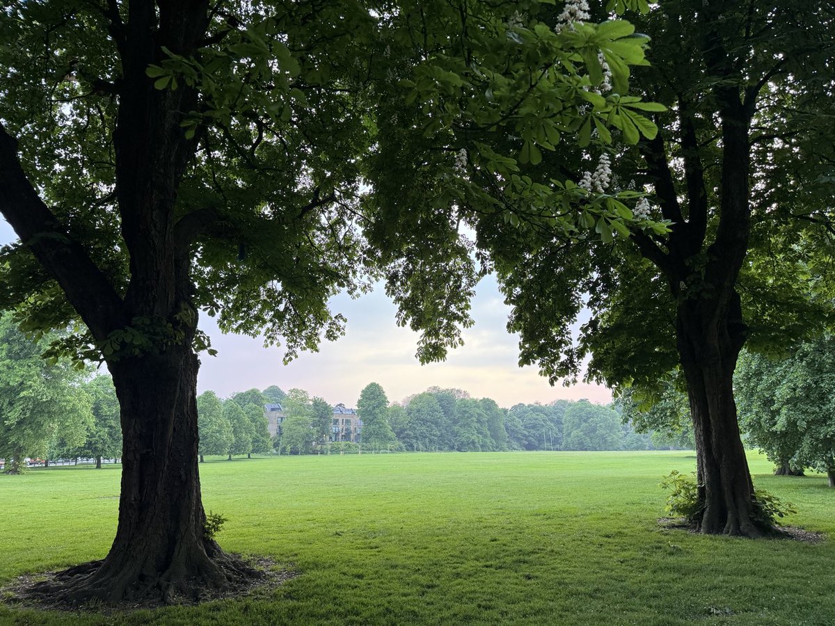 Beautiful light in Pontcanna tonight