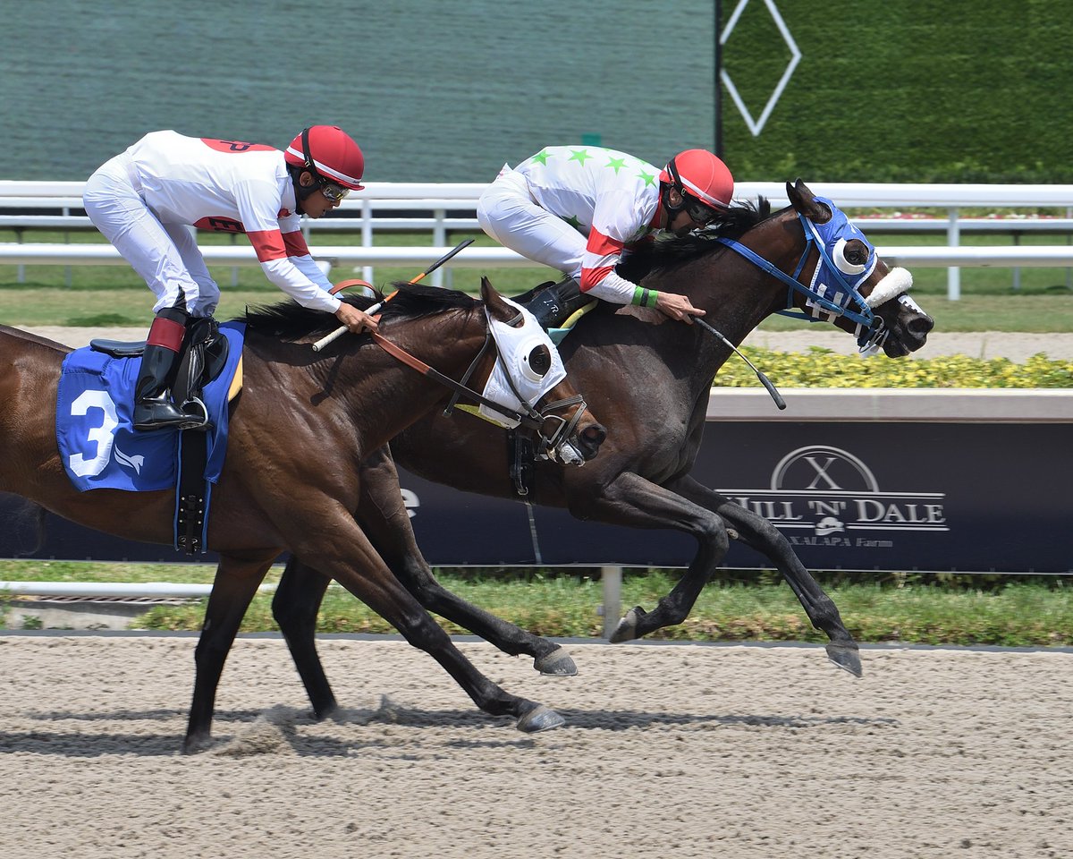 Secret Lover outfinishes Ekati King to deliver as the favorite in race 3, @LeojockeyReyes in the irons for trainer @sanoracing. #GulfstreamPark #RoyalPalmMeet