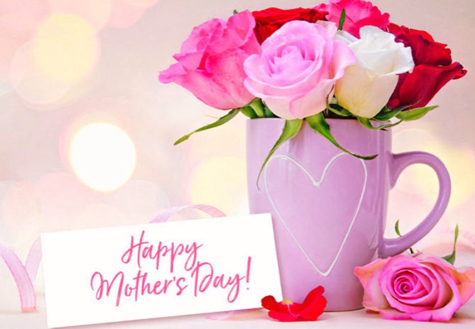 Arpi's North Inc. (@arpisnorth) on Twitter photo 