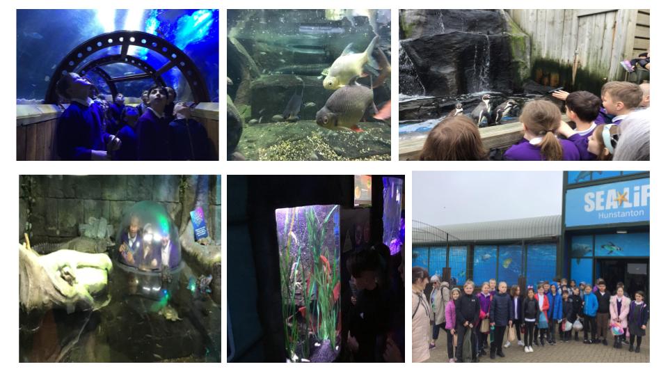 #NeneandRamnoth
Year 4 embarked on an eye-opening trip to Hunstanton. They marveled at diverse marine life and explored the rock pools. They restored a section of the coast cultivating a sense of duty to safeguard nature for the future.
@NeneRamnothSch
@ElliotFndtn
