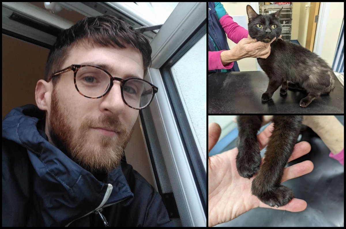 Please retweet, Mathew Daly, #SOUTHPORT #MERSEYSIDE #LIVERPOOL #UK CONVICTED ANIMAL CRUELTY - AVOIDS JAIL!! Sentencing | banned from keeping any animals for two years. CONVICTED | Matthew Daly, 31, - left his pet cat in agony, with nearly every bone in his paw broken for up to