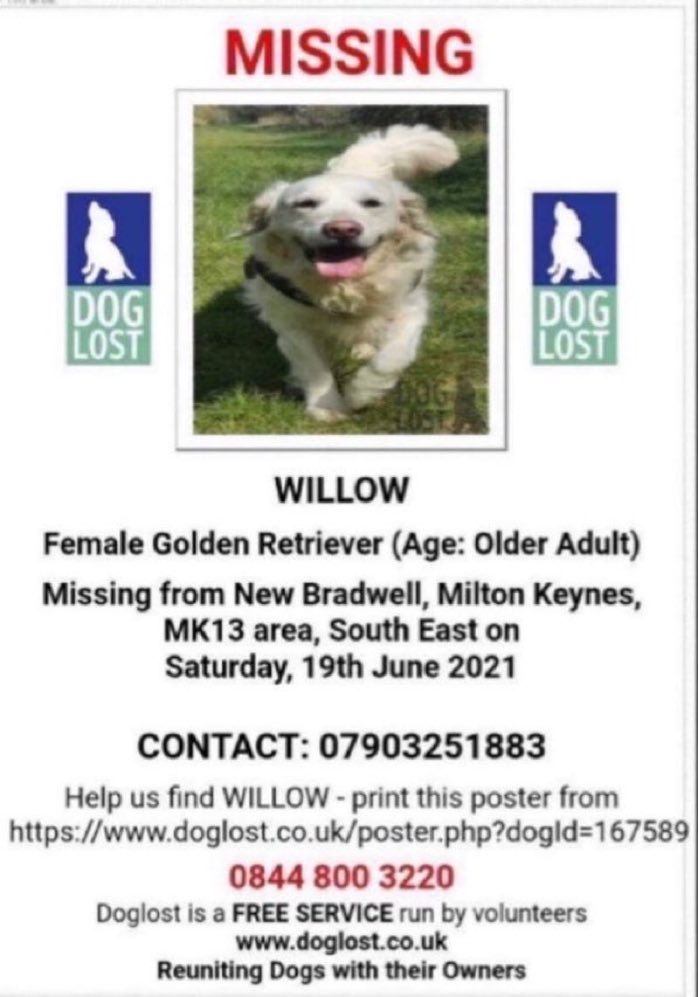 Please RT #stolendoghour 
Have you seen Willow💔? 
Missing from #NewBradwell area of #MiltonKeynes since 19th June 2021. 
She’s an elderly girl & so needs to be back home 🐶  #MK13 #goldenretriever #HelpFindWillow