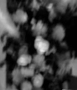 ㅤㅤㅤㅤㅤㅤㅤ
ㅤ                     ㅤ
ㅤ  when   in   doubt —
     go   black   &amp;   white  ˖  ݁  ˓ 

ㅤㅤㅤㅤㅤㅤㅤ