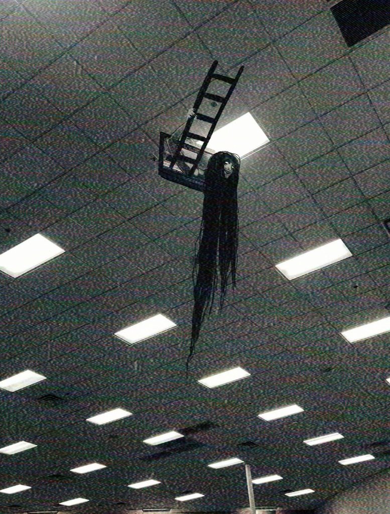 SideDemons's tweet image. gm