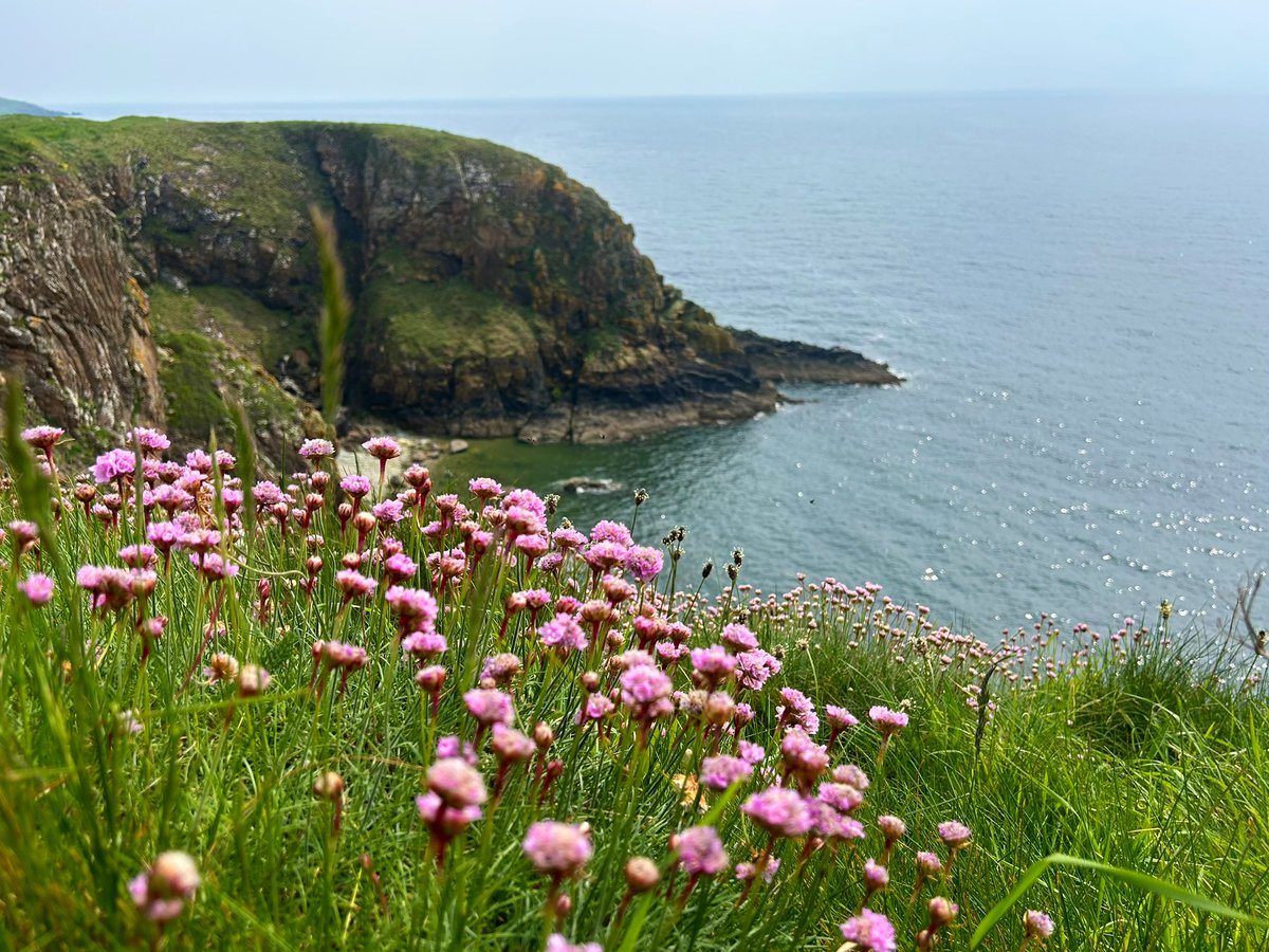 Just back from another cracking long weekend in camper van friendly Galloway the weather was great and need I say anymore about Friday nights spectacular sky show a perfect weekends escape 👍 #vanlife #kirkudbrightshire #galloway