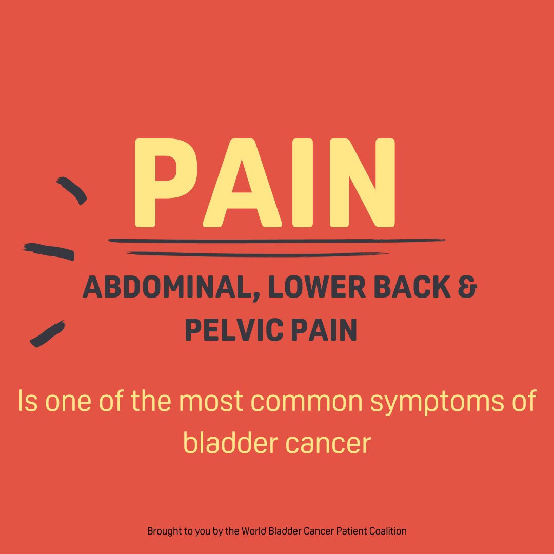Common symptoms of bladder cancer – retweet and spread the awareness!
#medicalinnovation #BladderCancerMonth24 #bladdercancer #HIVEC #CombatCancer